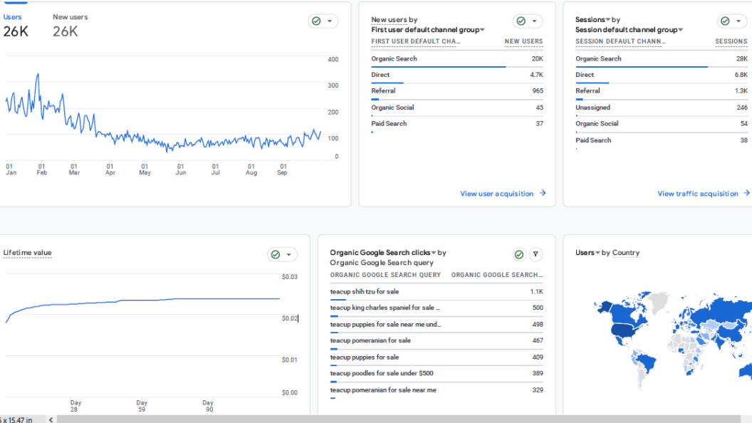 seo optimization